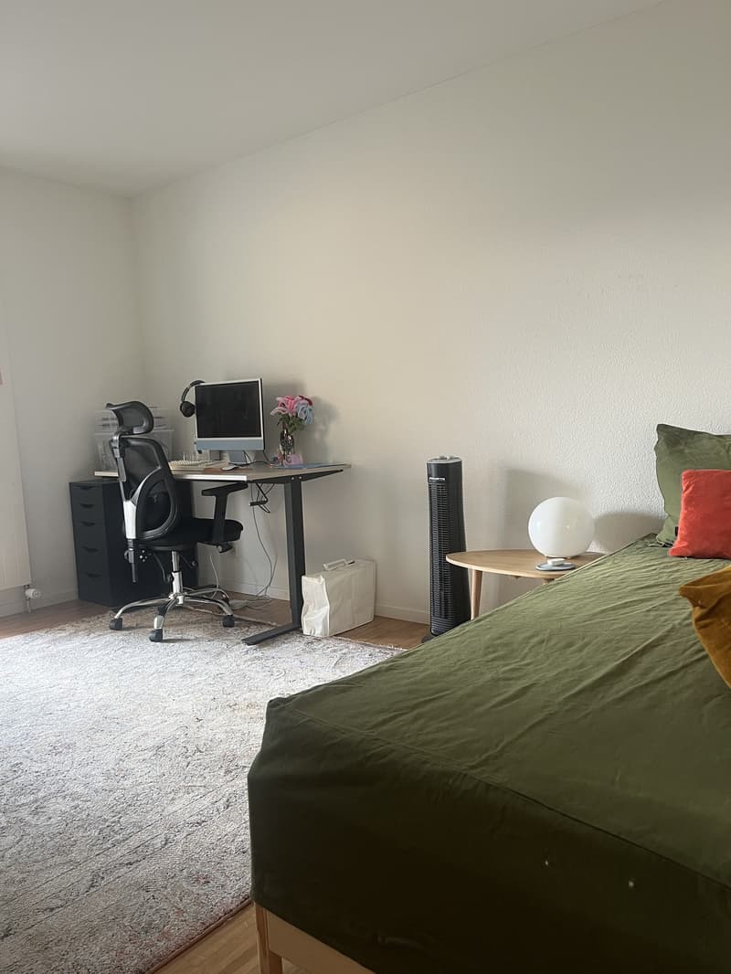 Geräumige 3,5-Zimmer-Wohnung zwischen New Town und Allmend/Messe (12)
