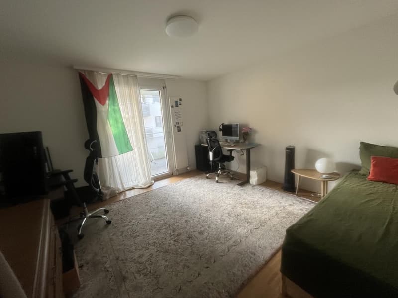 Geräumige 3,5-Zimmer-Wohnung zwischen New Town und Allmend/Messe (13)