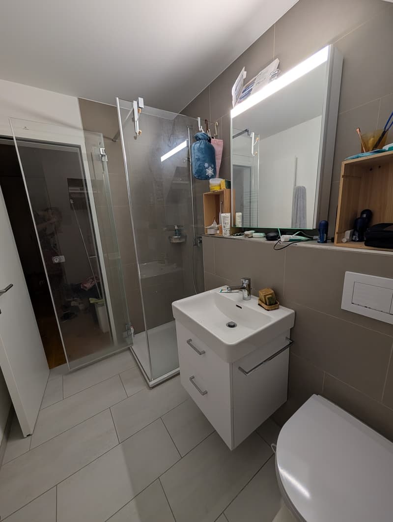 Moderne 2.5-Zimmerwohnung im Zentrum von Meilen (9)