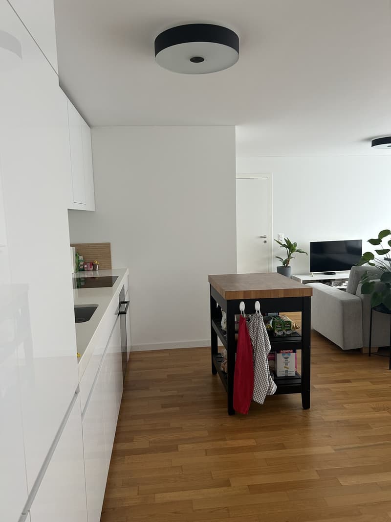 WG-Zimmer in Luzern (5)