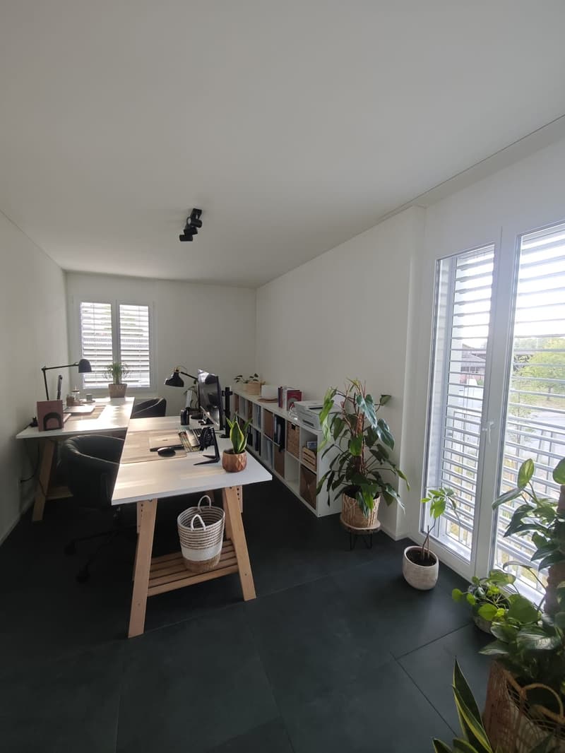 5 ½ rooms apartment, 8919 Rottenschwil (8)