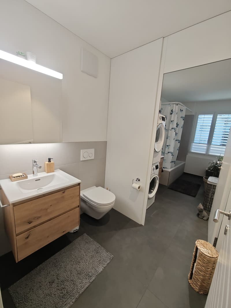 5 ½ rooms apartment, 8919 Rottenschwil (9)