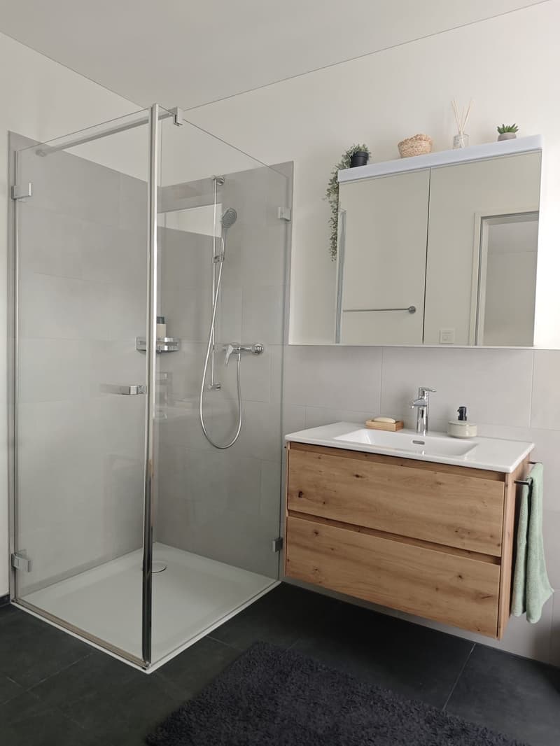 5 ½ rooms apartment, 8919 Rottenschwil (7)