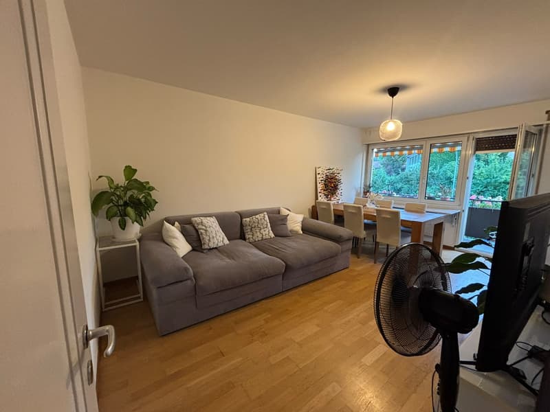 Unbefristetes WG-Zimmer in 8051 Zürich ETH nähe Frauen-WG (3)