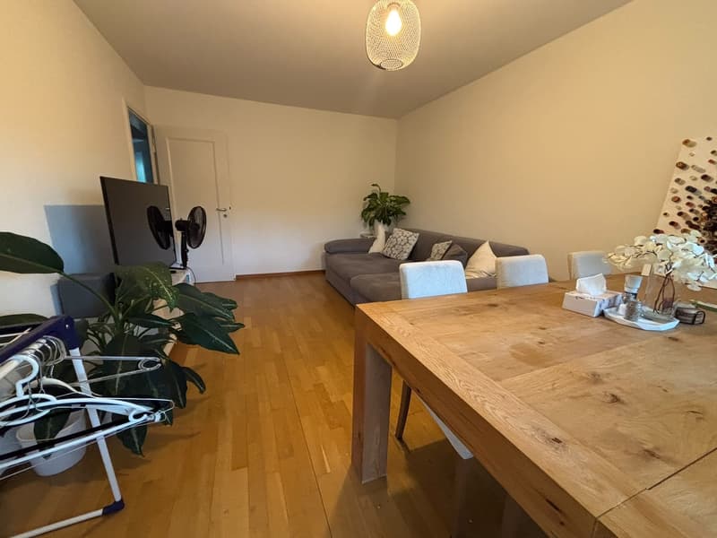Unbefristetes WG-Zimmer in 8051 Zürich ETH nähe Frauen-WG (5)