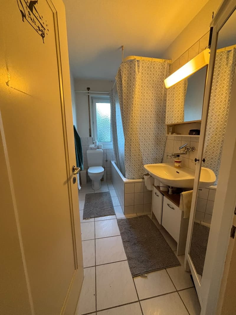 Unbefristetes WG-Zimmer in 8051 Zürich ETH nähe Frauen-WG (10)