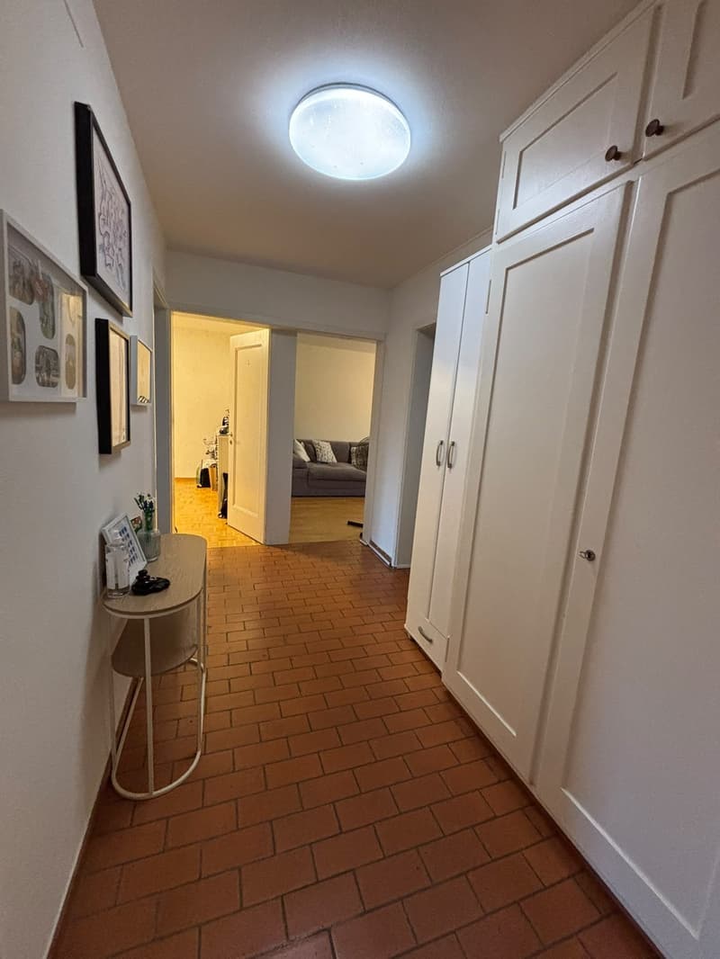 Unbefristetes WG-Zimmer in 8051 Zürich ETH nähe Frauen-WG (12)