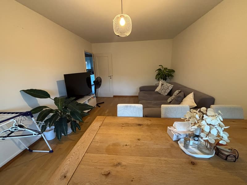 Unbefristetes WG-Zimmer in 8051 Zürich ETH nähe Frauen-WG (4)