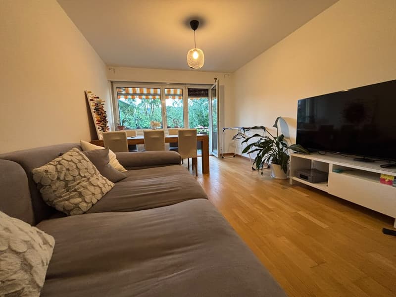 Unbefristetes WG-Zimmer in 8051 Zürich ETH nähe Frauen-WG (6)