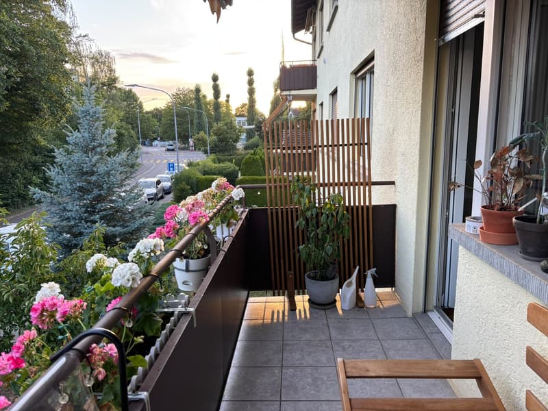Unbefristetes WG-Zimmer in 8051 Zürich ETH nähe Frauen-WG (7)