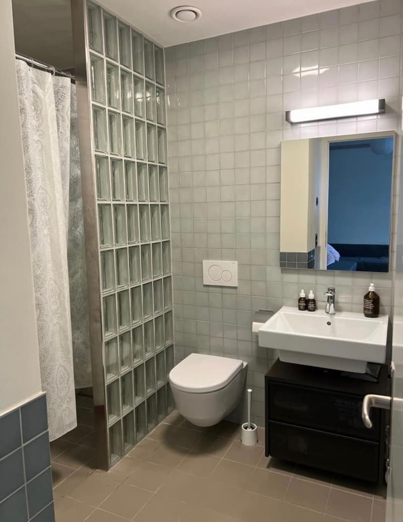 Room in a social shared apartment at Europaallee, Zurich (2)