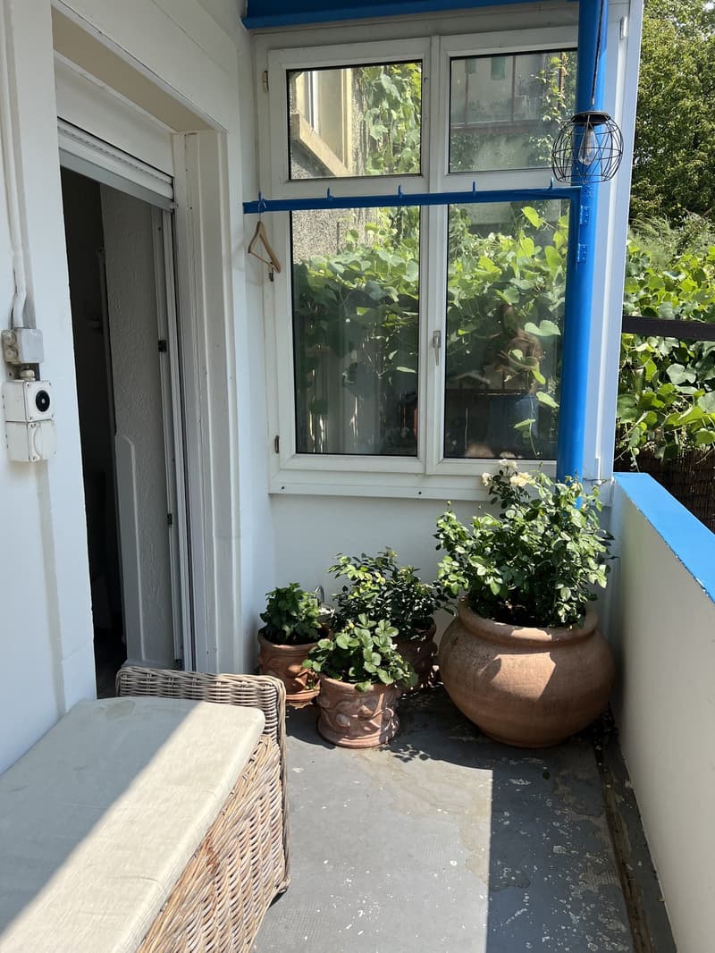 Sehr Ruhige Garten 3 1/2 Wohnung im EG in nur wenigen Minuten zu Fuss am Rhein (8)