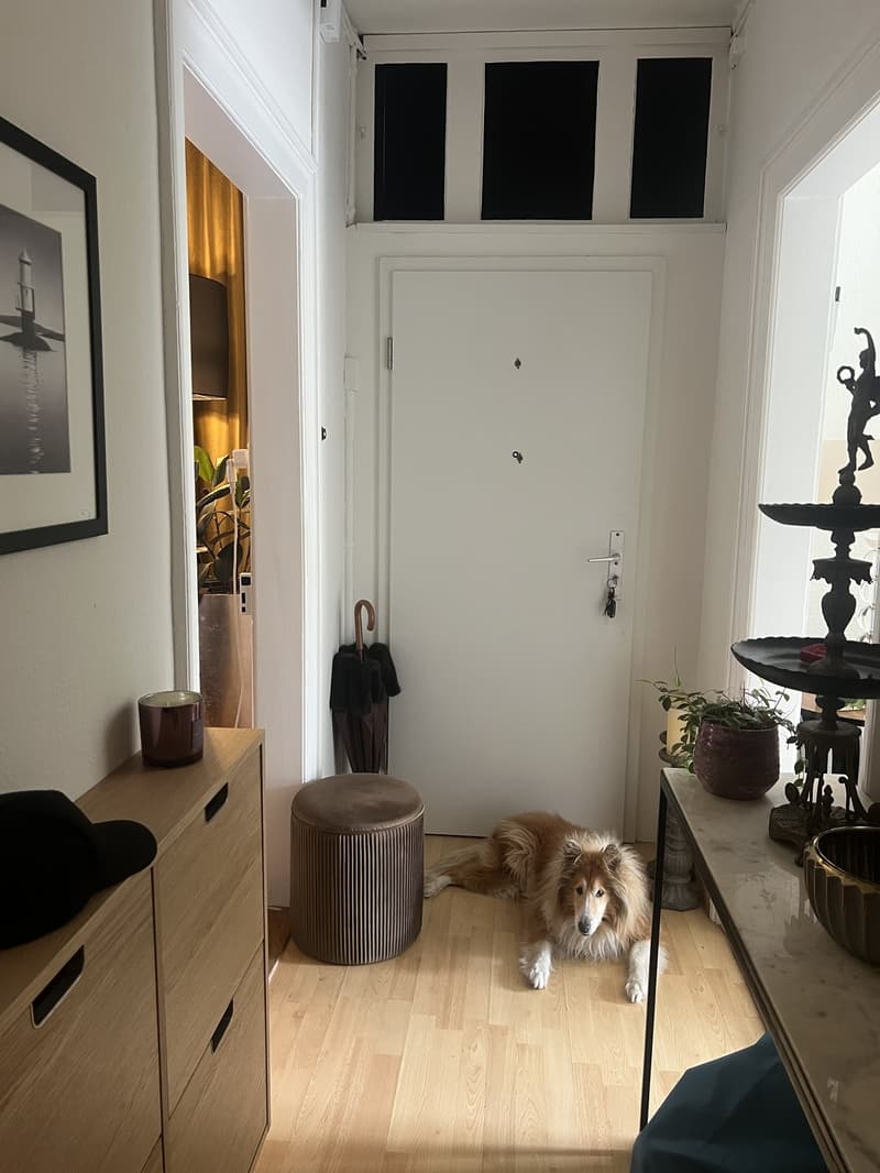 Sehr Ruhige Garten 3 1/2 Wohnung im EG in nur wenigen Minuten zu Fuss am Rhein (6)