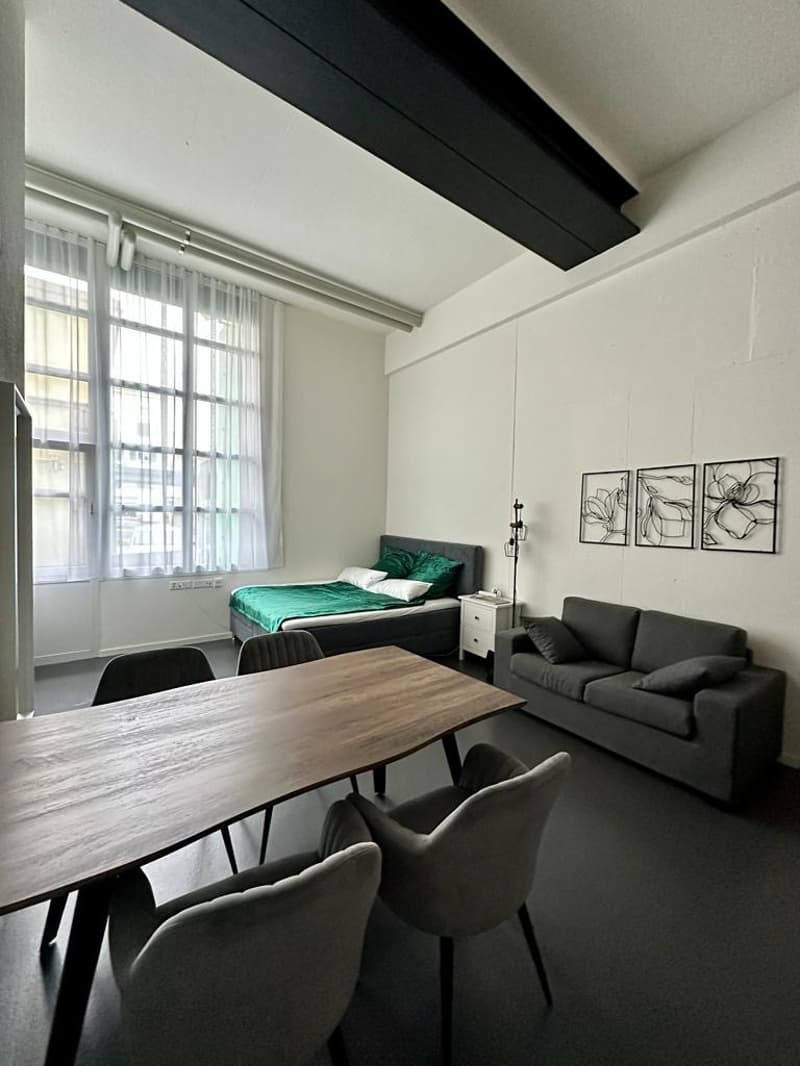 1 Zimmer-Wohnung, 8406 Winterthur (3)