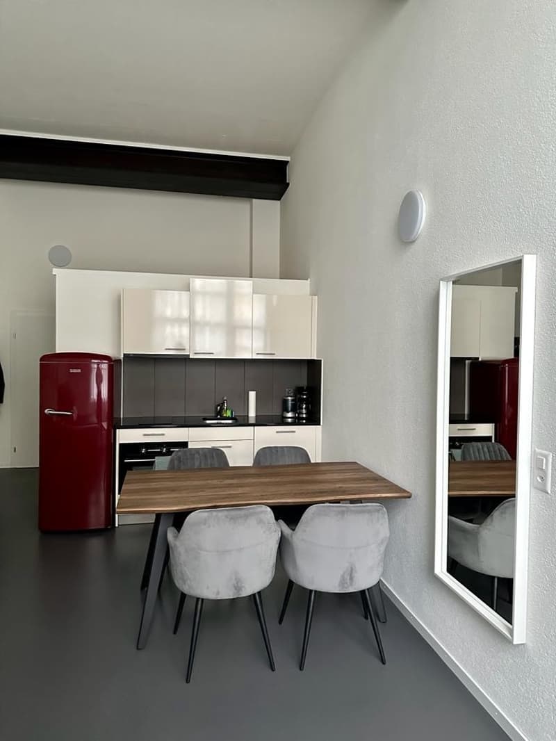 1 Zimmer-Wohnung, 8406 Winterthur (4)