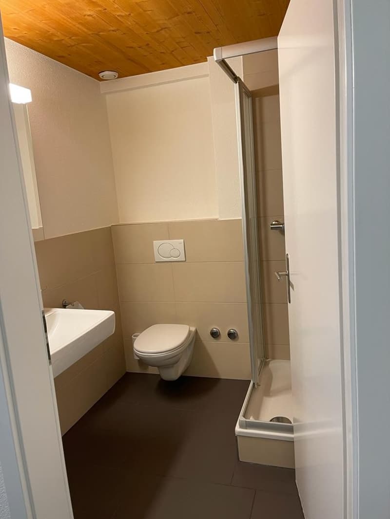 1 Zimmer-Wohnung, 8406 Winterthur (2)