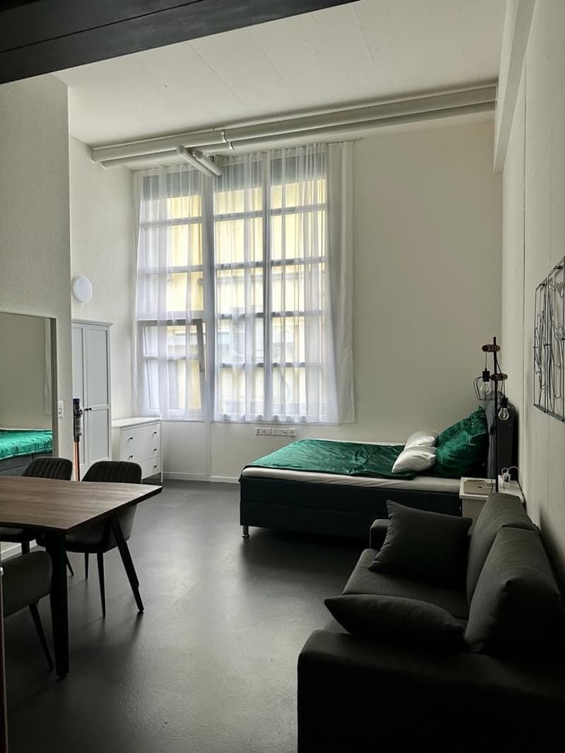 1 Zimmer-Wohnung, 8406 Winterthur (1)