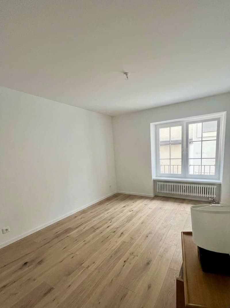 Zurich, Münsterhof - room in a large bright apartment with great views, lift and fire place (6)