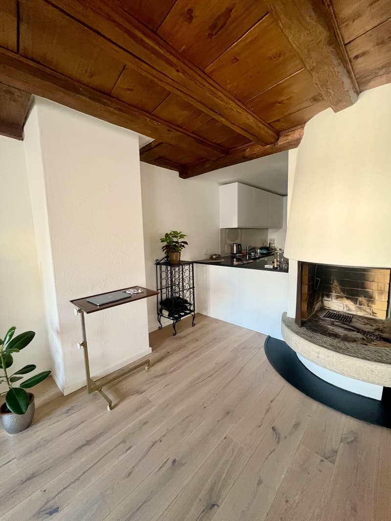 Zurich, Münsterhof - room in a large bright apartment with great views, lift and fire place (3)