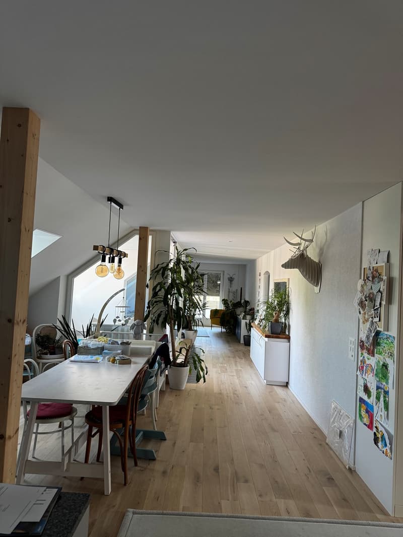Helle und grosszügige 4.5-Zimmer-Wohnung in Bern zur befristeten Untermiete (3)