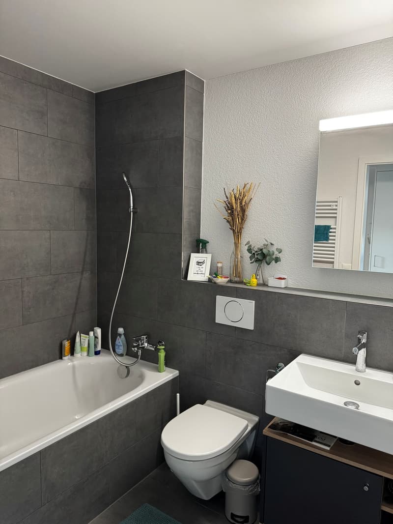 Helle und grosszügige 4.5-Zimmer-Wohnung in Bern zur befristeten Untermiete (6)