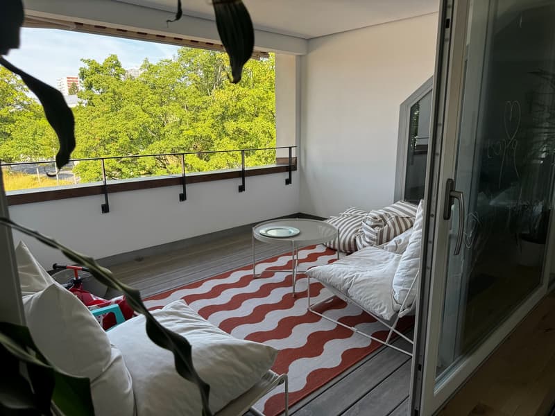 Helle und grosszügige 4.5-Zimmer-Wohnung in Bern zur befristeten Untermiete (4)