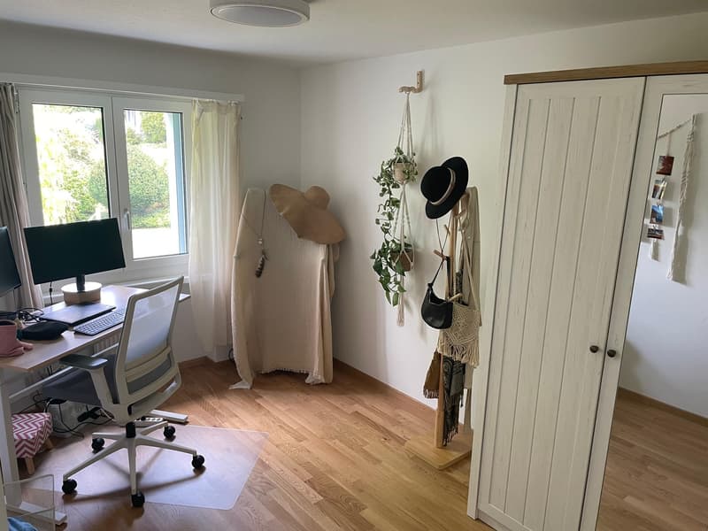 3 Zimmer-Wohnung, 9552 Bronschhofen (4)