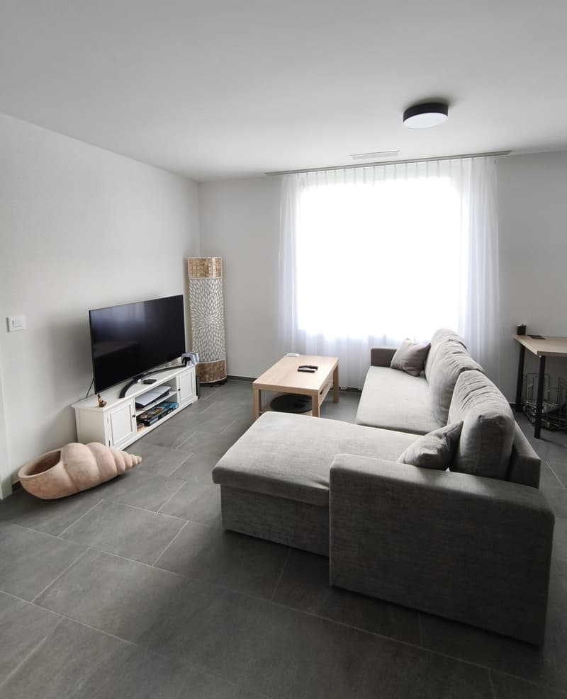 Schöne 2.5 Zi Wohnung (1)