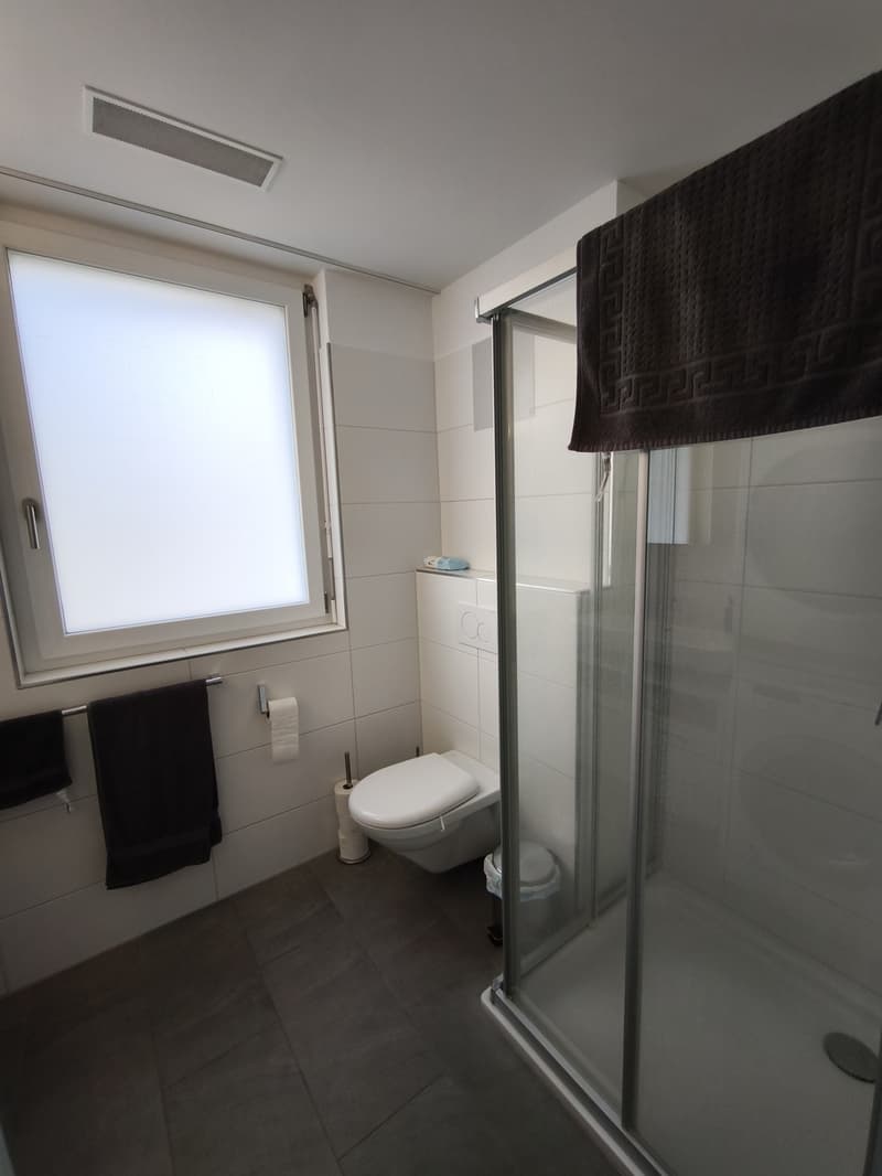 Schöne 2.5 Zi Wohnung (6)