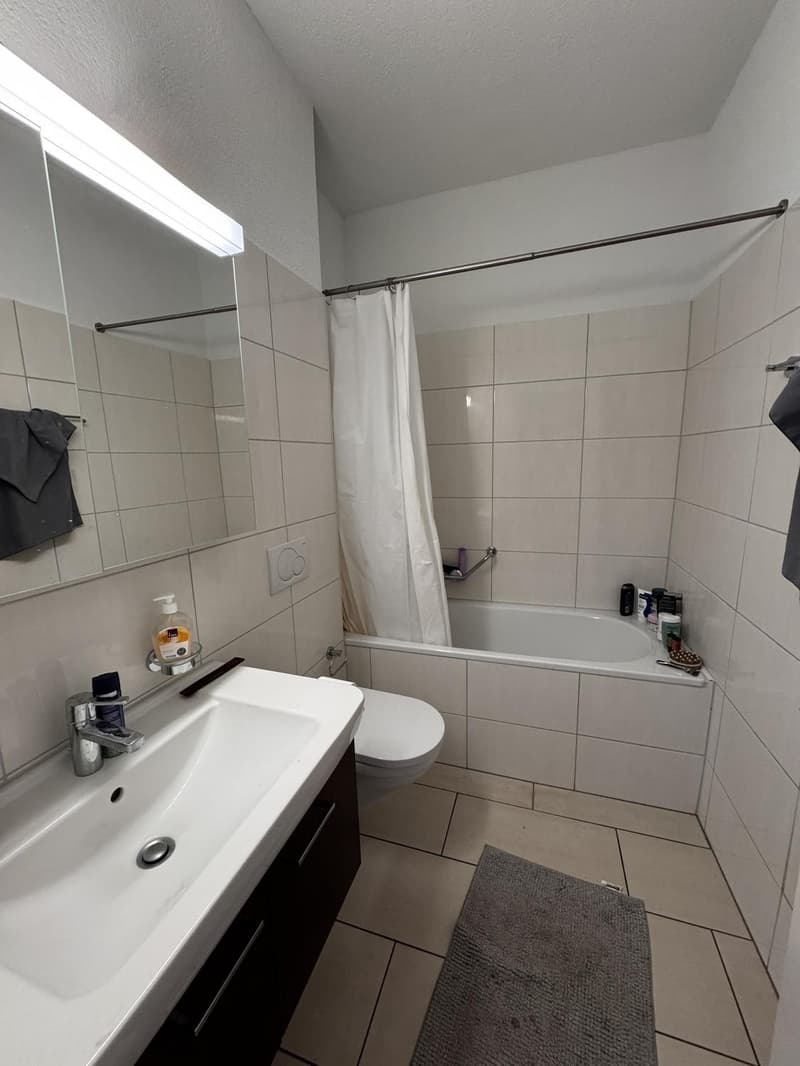 Schönes WG-Zimmer direkt am See/Enge (3)