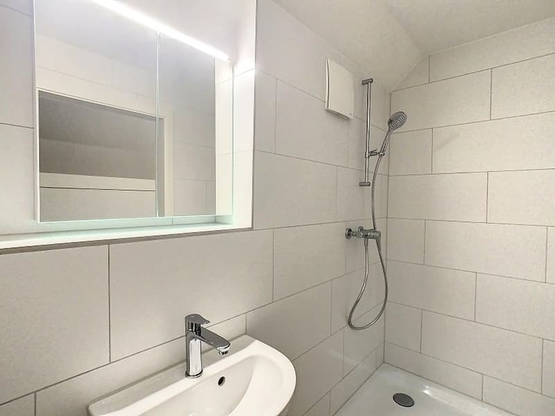 Nachmieter gesucht  schönes Wohnung/Studio in Oberglatt (4)