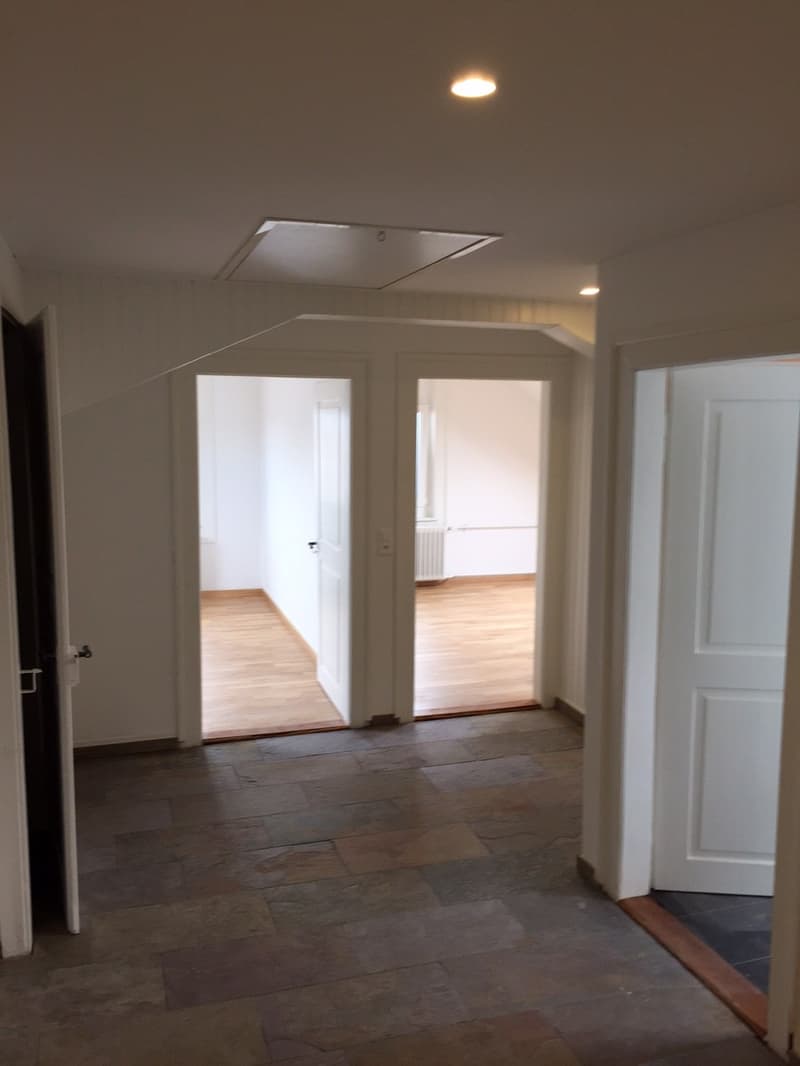 4 1/2 Zimmer-Wohnung in Dielsdorf mieten (4)