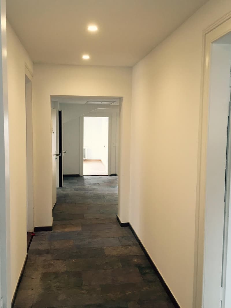 4 1/2 Zimmer-Wohnung in Dielsdorf mieten (5)