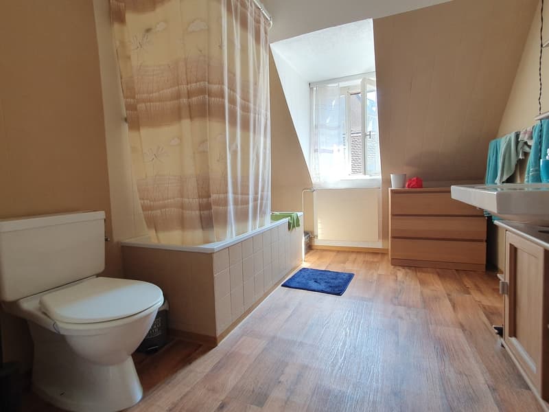 3 ½ Zimmer-Wohnung, 8253 Diessenhofen (4)