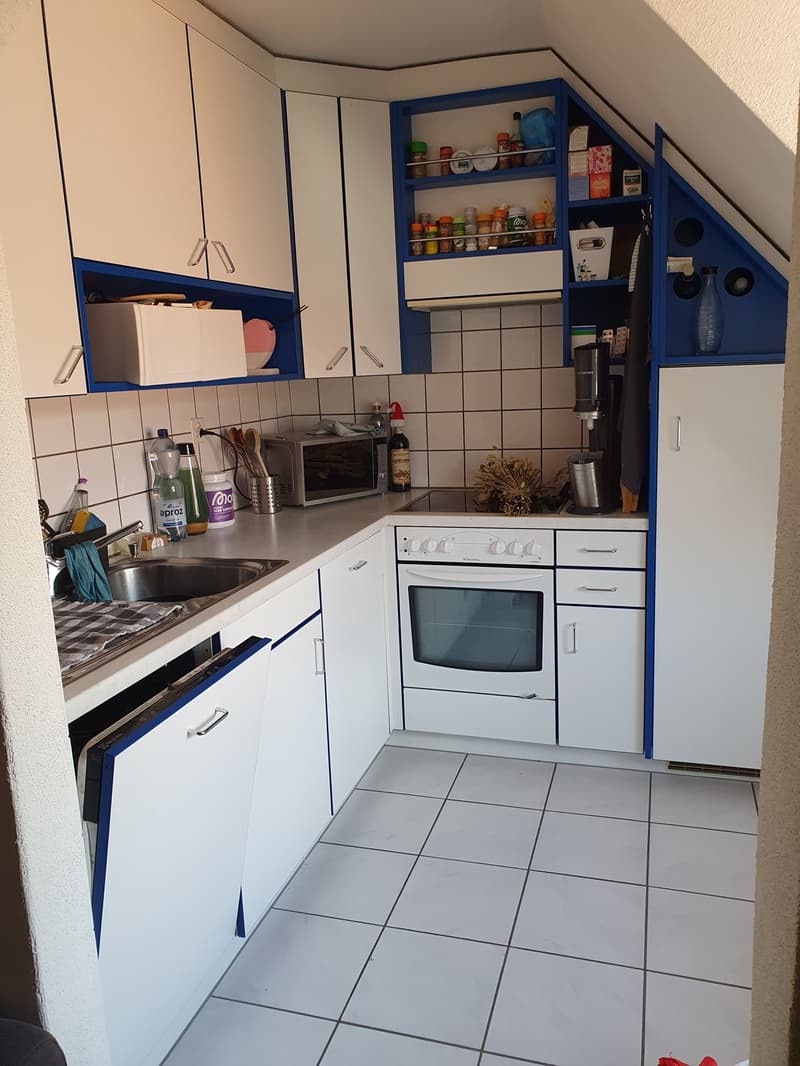 3 ½ Zimmer-Wohnung, 8253 Diessenhofen (3)
