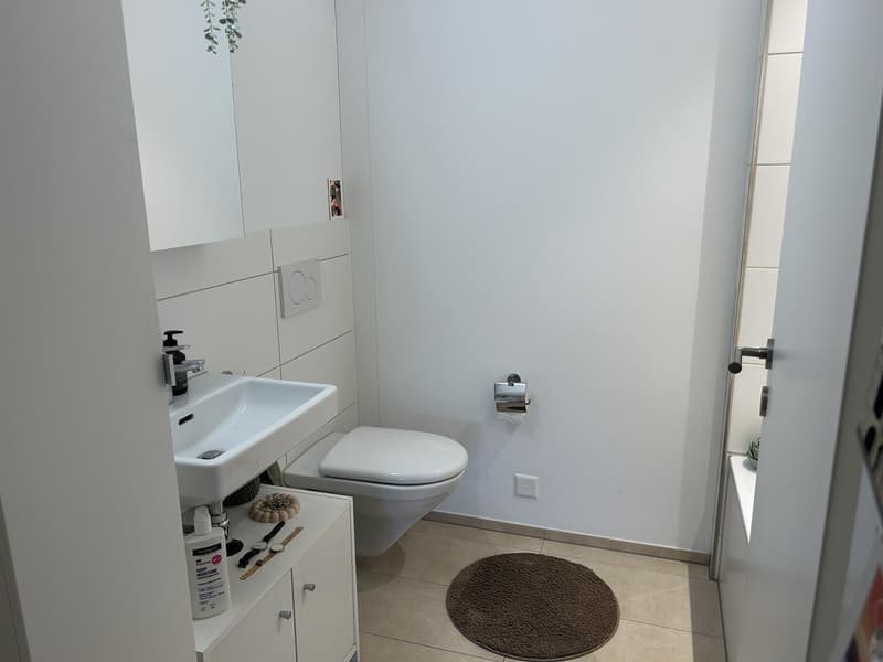 3½ Zimmer-Wohnung in Bremgarten (AG), möbliert, befristet (13)