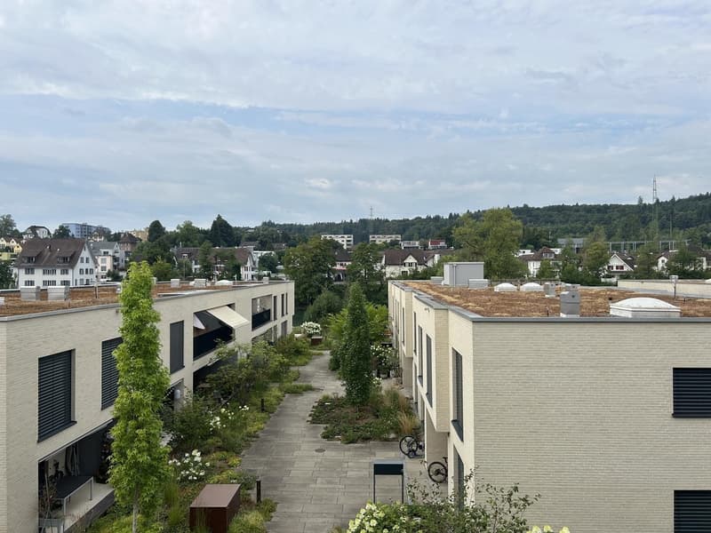3½ Zimmer-Wohnung in Bremgarten (AG), möbliert, befristet (5)