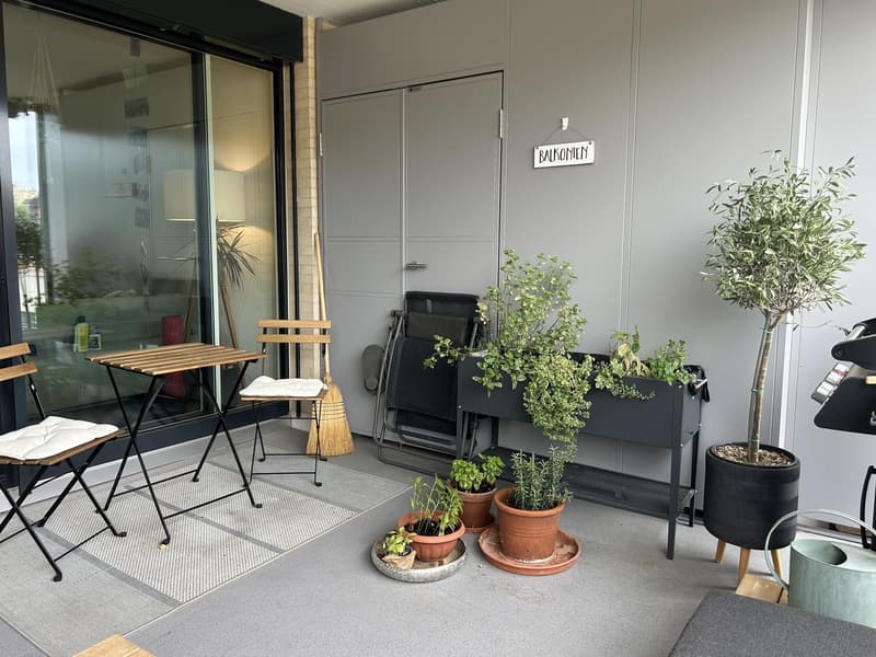 3½ Zimmer-Wohnung in Bremgarten (AG), möbliert, befristet (6)