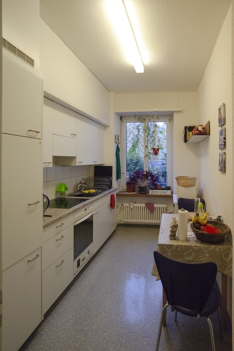 Central 3-Room Apartment in Wiedikon for Sublease (4)