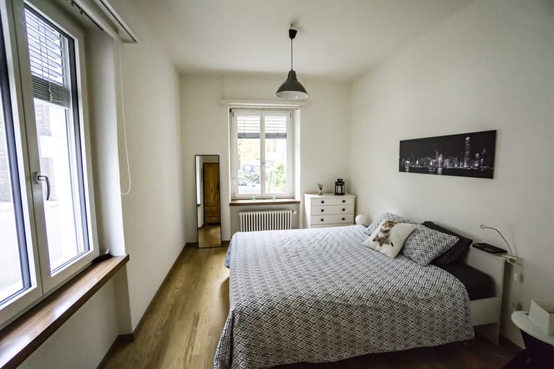 Central 3-Room Apartment in Wiedikon for Sublease (2)