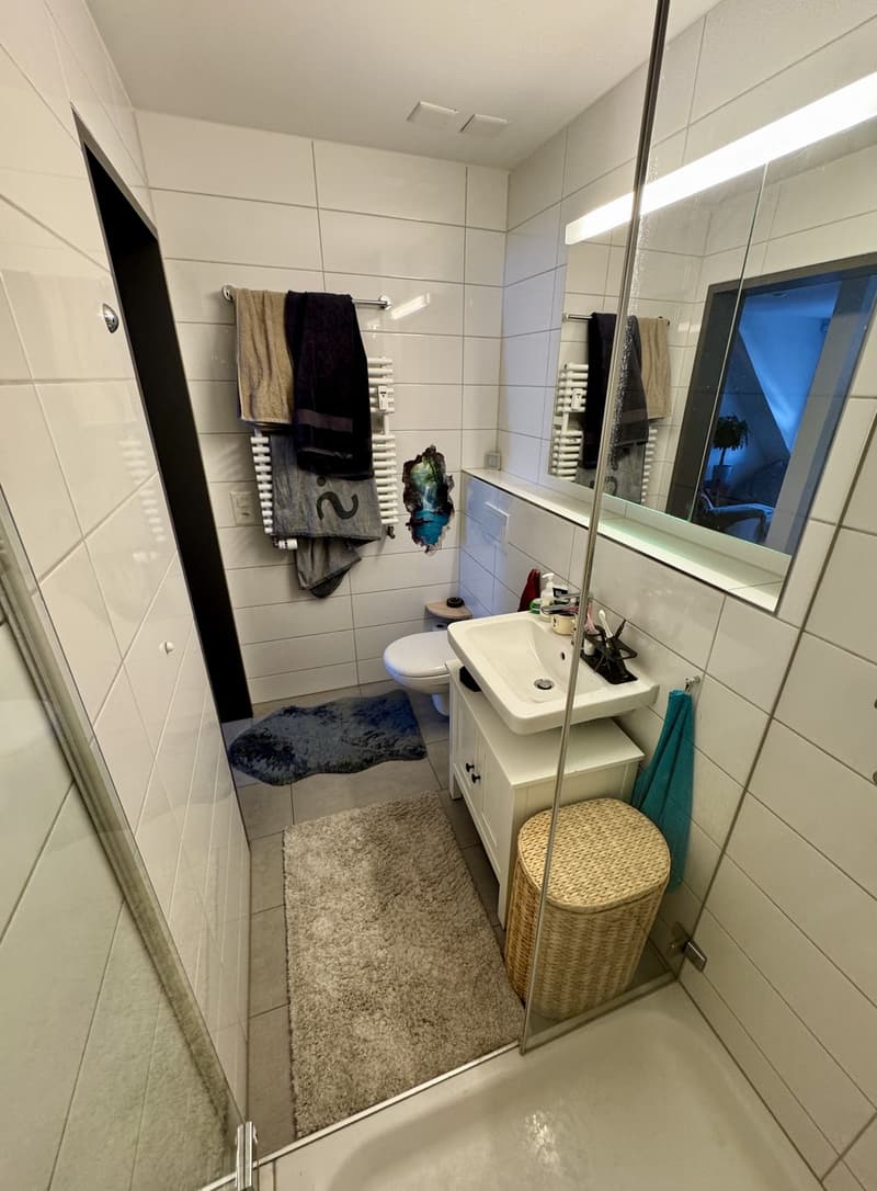 Möblierte 2.5-Zimmer-Dachwohnung in Zürich-Wipkingen befristet (7)