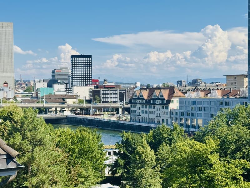 Möblierte 2.5-Zimmer-Dachwohnung in Zürich-Wipkingen befristet (2)