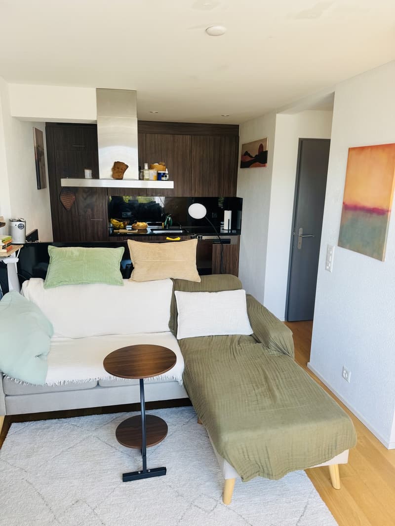 Möblierte 2.5-Zimmer-Dachwohnung in Zürich-Wipkingen befristet (4)