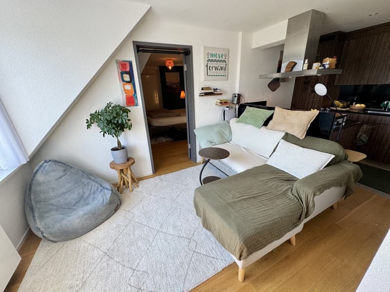 Möblierte 2.5-Zimmer-Dachwohnung in Zürich-Wipkingen befristet (1)