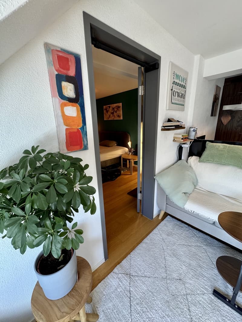 Möblierte 2.5-Zimmer-Dachwohnung in Zürich-Wipkingen befristet (6)