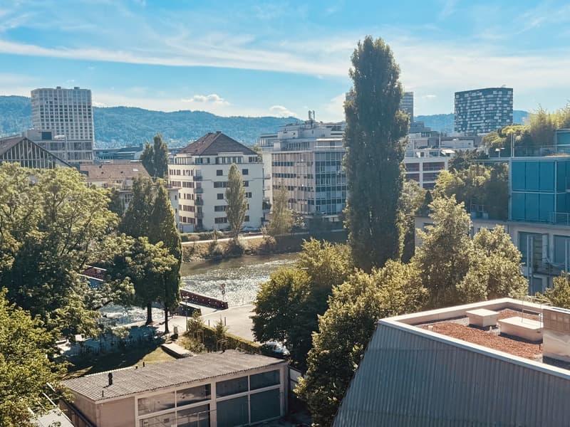 Möblierte 2.5-Zimmer-Dachwohnung in Zürich-Wipkingen befristet (10)