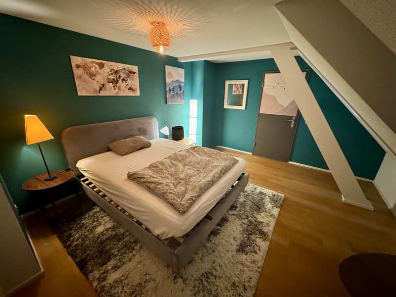 Möblierte 2.5-Zimmer-Dachwohnung in Zürich-Wipkingen befristet (3)