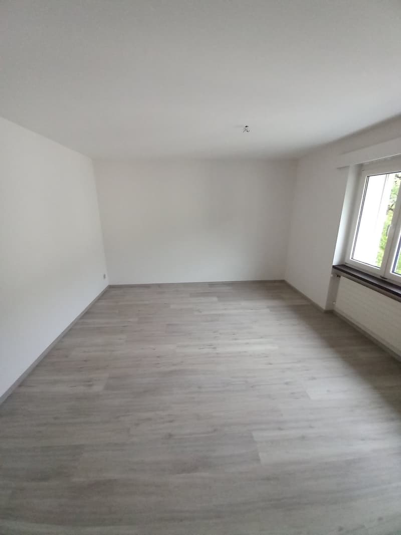 Helle 4.5-Zimmer-Familienwohnung an der Limmat mit Gartensitzplatz, ruhig zwischen Zürich & Baden (13)
