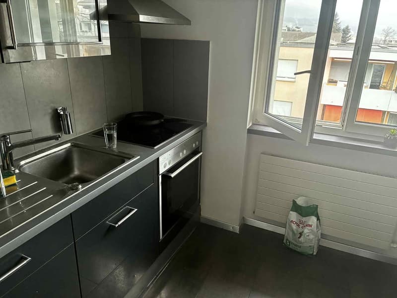 Helle 4.5-Zimmer-Familienwohnung an der Limmat mit Gartensitzplatz, ruhig zwischen Zürich & Baden (1)