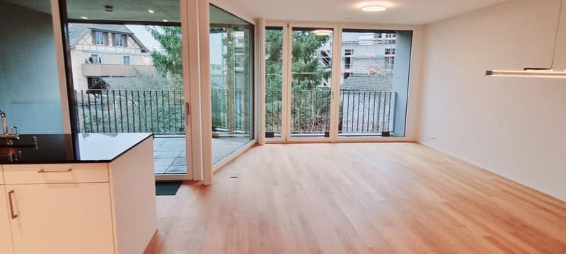 3½ Zimmer Wohnung (2)